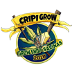 Cripi Grow Shop
